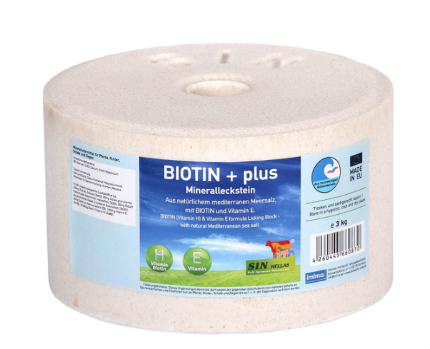 Biotin Plus Mineralleckstein