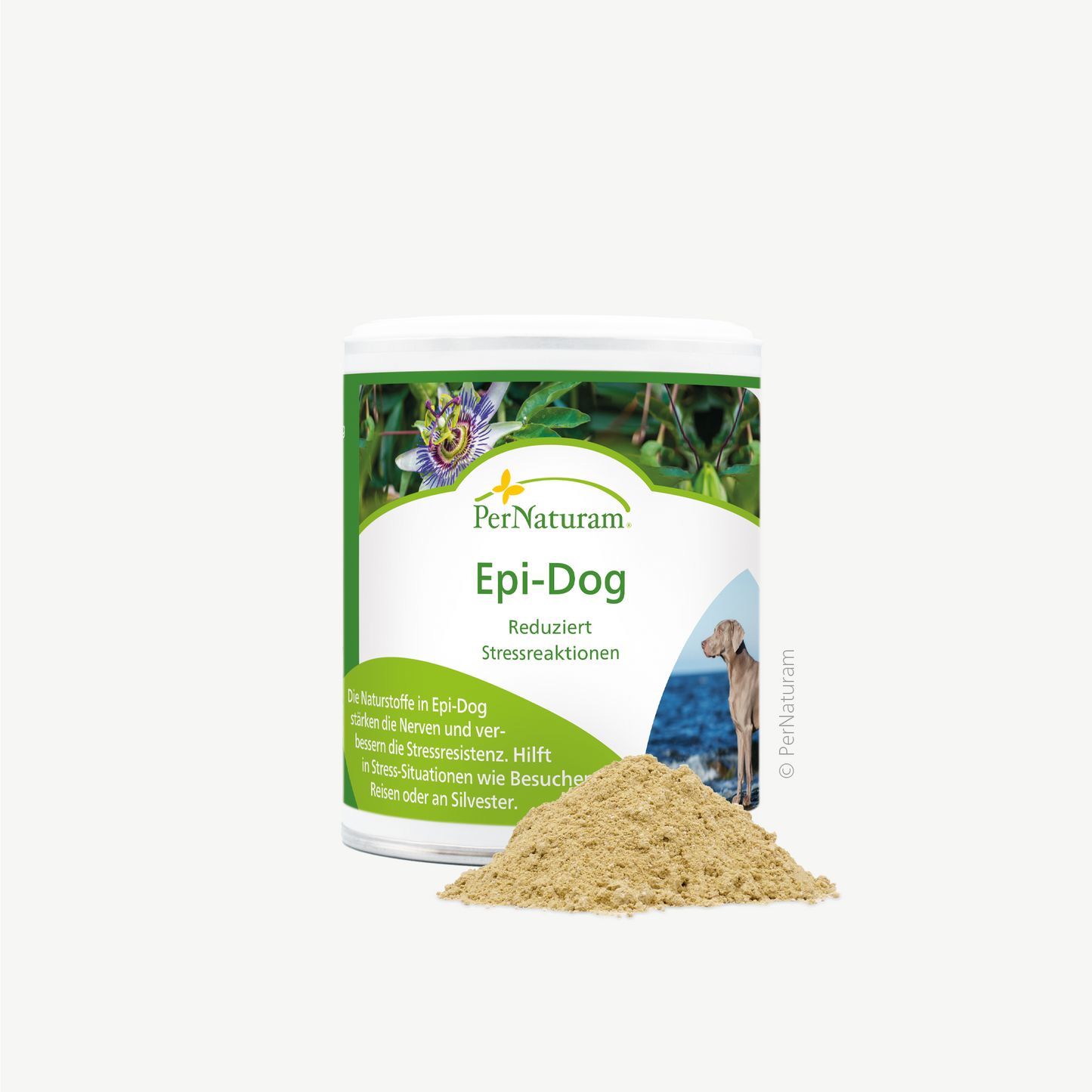 Epi-Dog