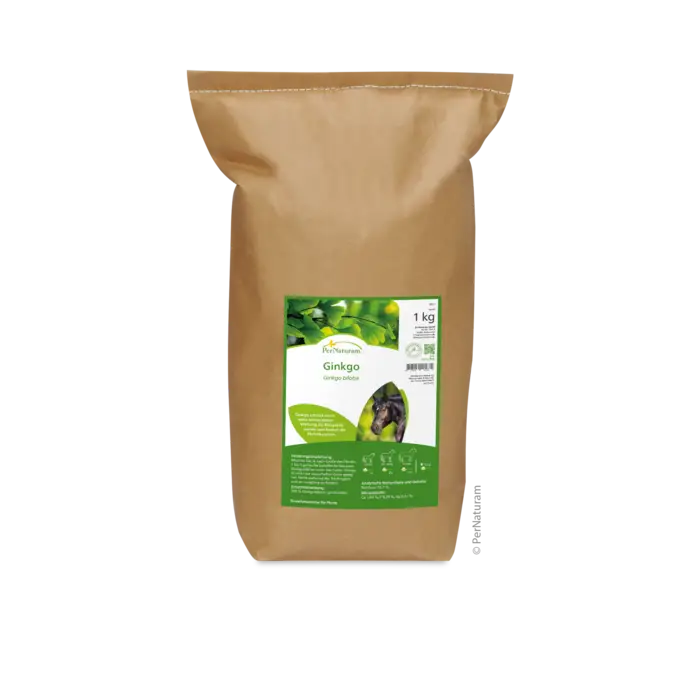Ginkgo