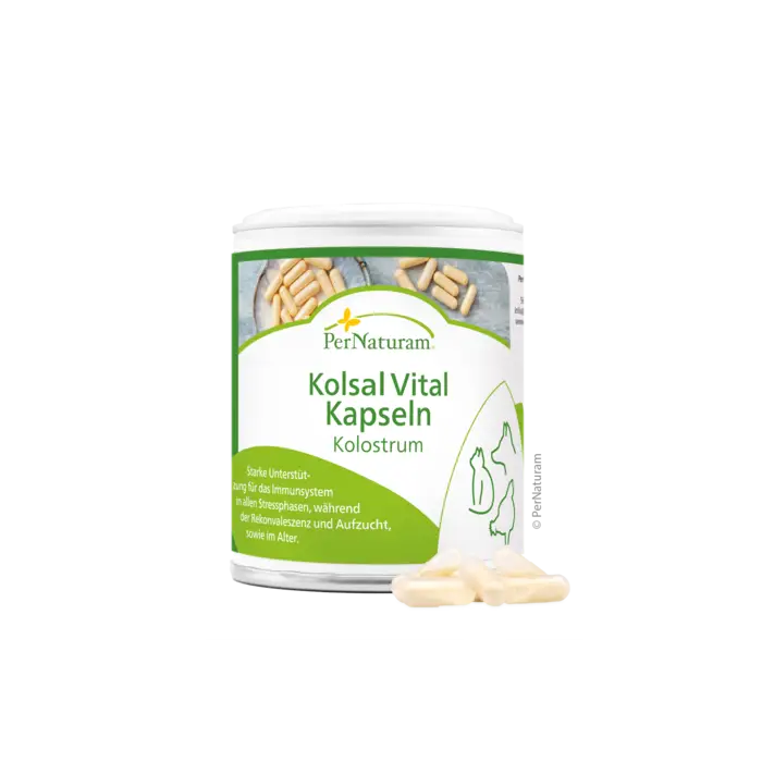 Kolsal Vital Kapseln