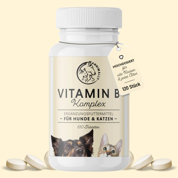 Vitamin B Komplex Tabletten