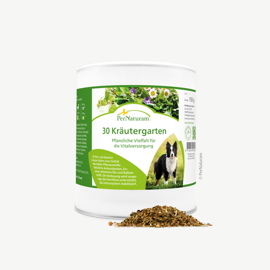 30 Kräutergarten
