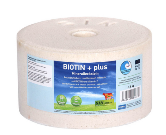 Biotin Plus Mineralleckstein