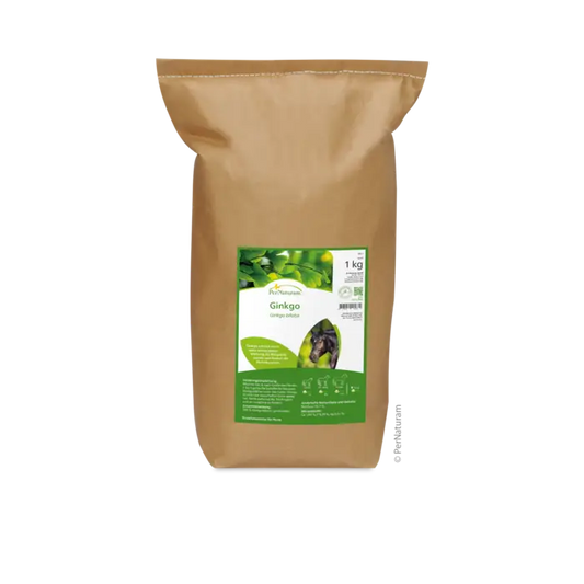 Ginkgo