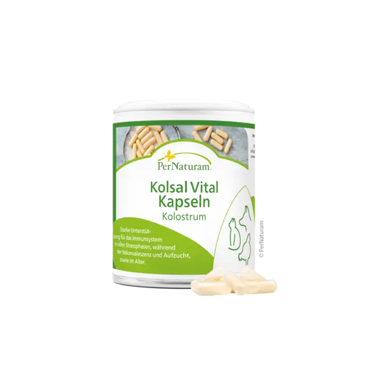 Kolsal Vital Kapseln