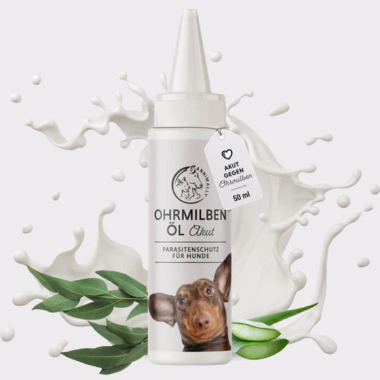 Ohrmilbenöl