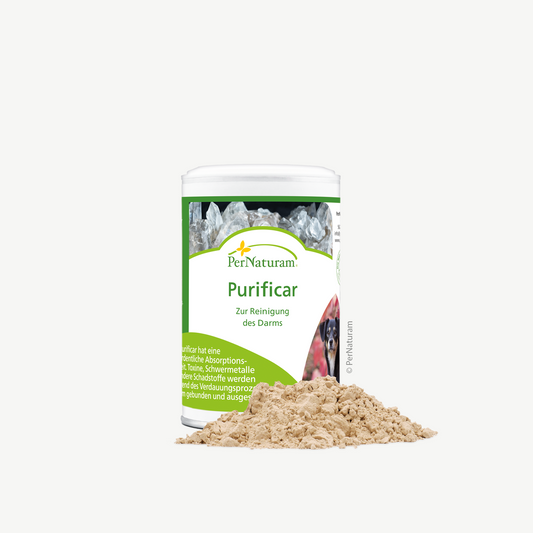 Purificar