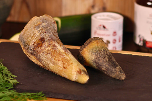 Horn (Rind)