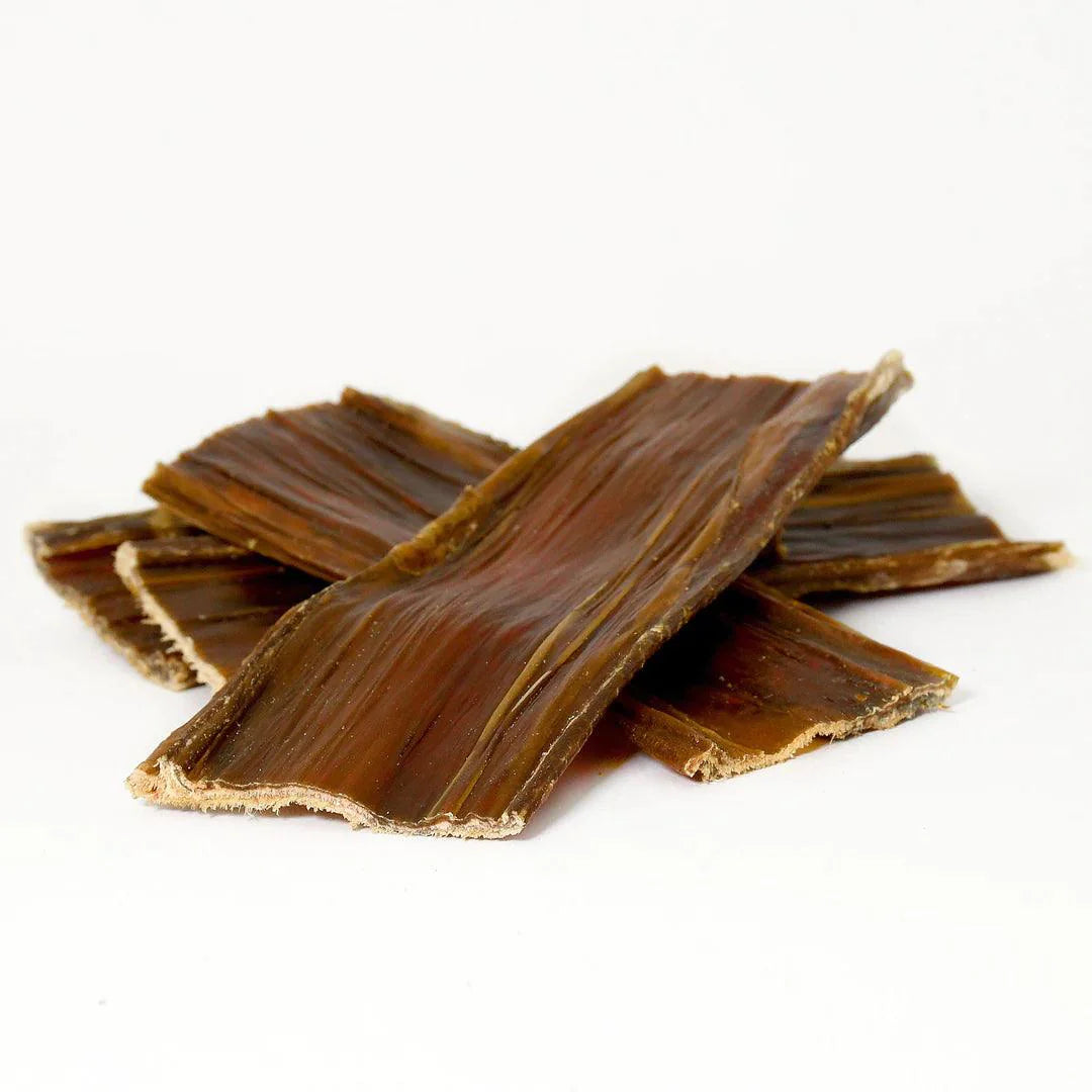 Rinderschlund, flach, einzeln