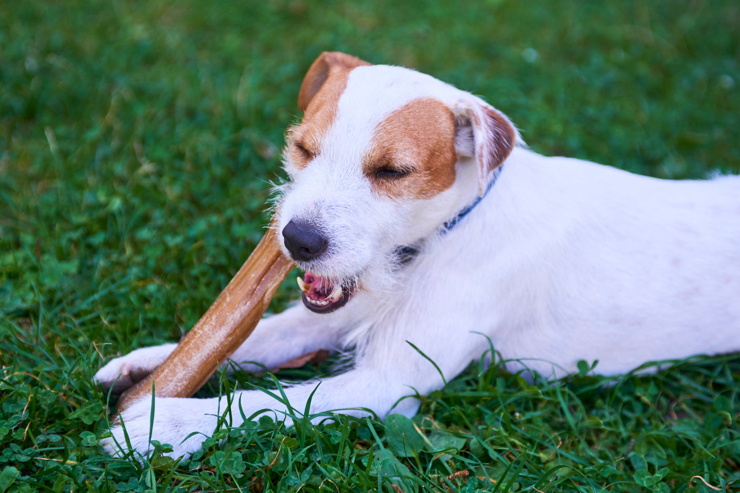 Mystery-Kauspaß-Box