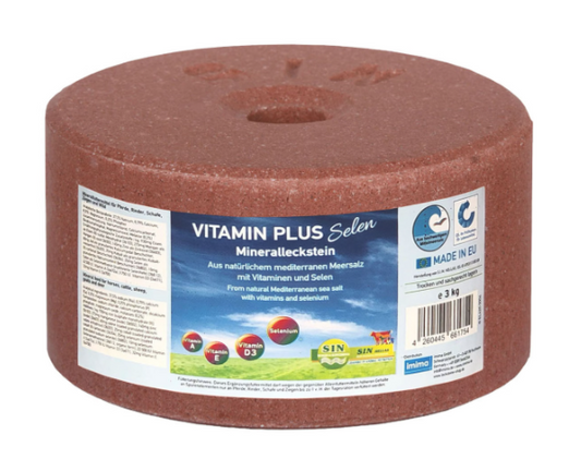 Vitamin Plus Selen Mineralleckstein