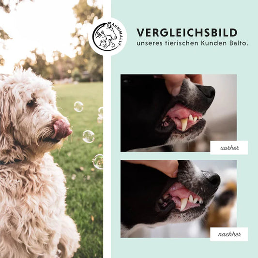 Oral Vital Zahnpflege-Pulver