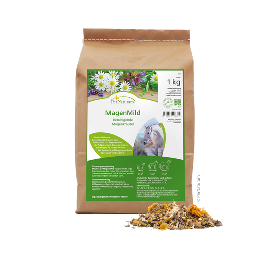 Magenmild (Pferd)