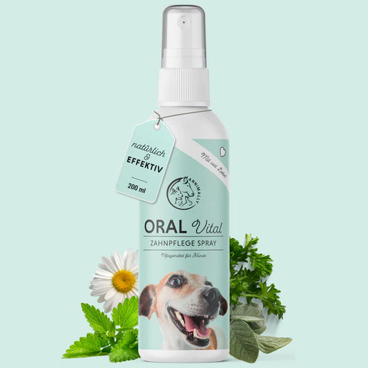 Oral Vital Zahnpflege-Spray